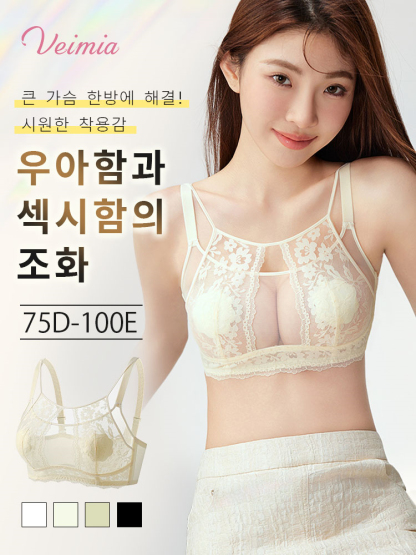 우아 섹시 프렌치 레이스 브라 큰 가슴 문제 한방에 해결 VEIMIA