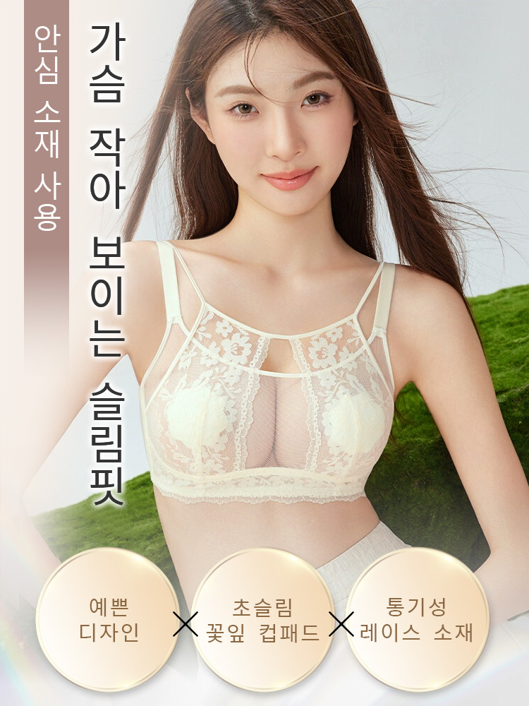 우아 섹시 프렌치 레이스 브라 가슴 작아 보이는 슬림핏 VEIMIA