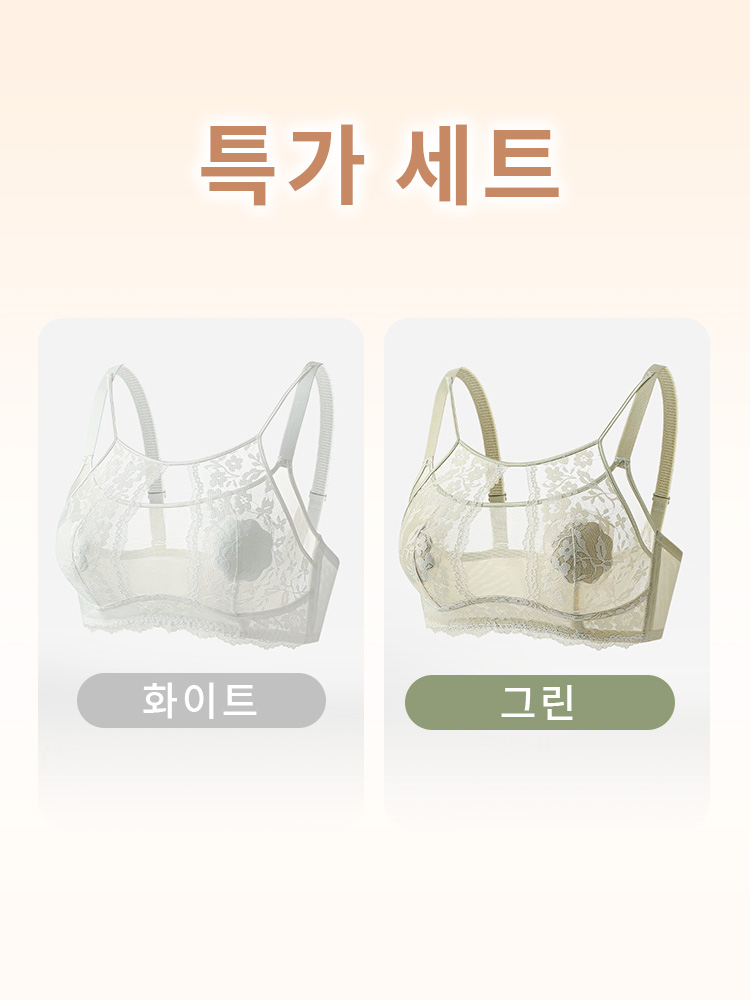 우아 섹시 프렌치 레이스 브라 화이트 그린 세트 VEIMIA