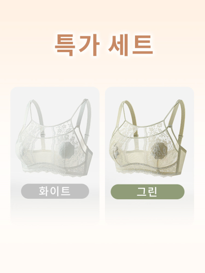 우아 섹시 프렌치 레이스 브라 화이트 그린 세트 VEIMIA