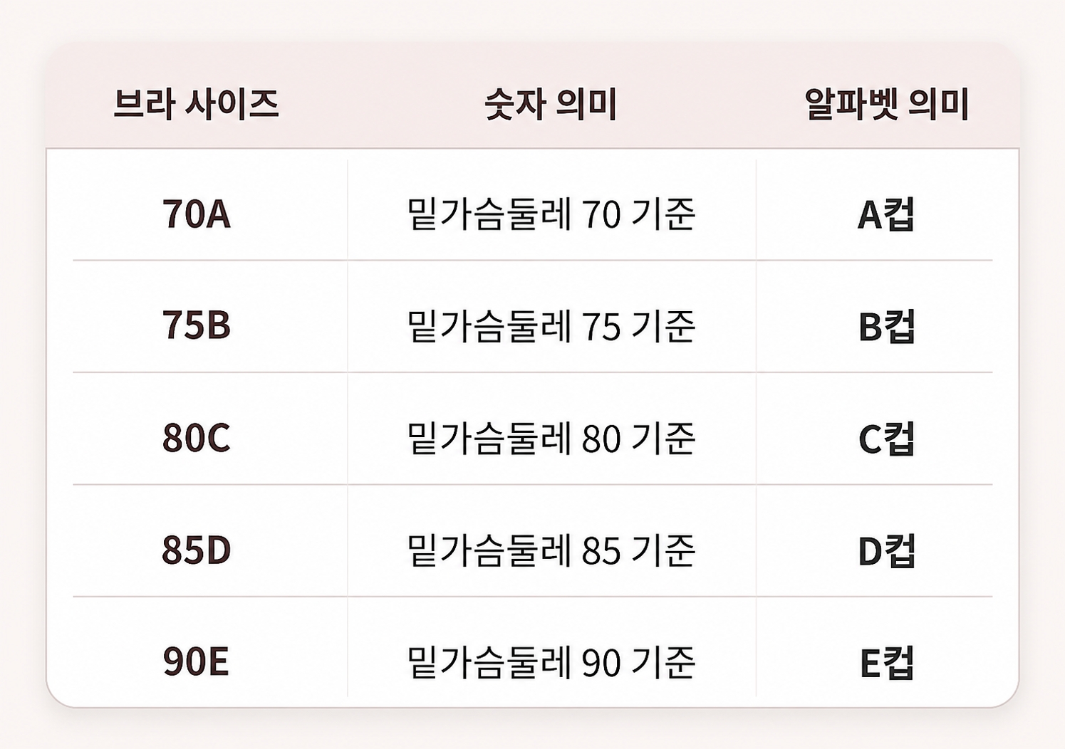 브라 사이즈 숫자와 알파벳 컵 기준을 함께 정리한 표