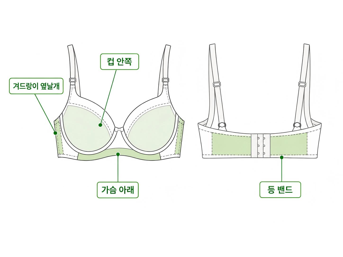가슴 아래와 컵 안쪽, 겨드랑이 옆날개, 등 밴드의 브라 땀 위치 안내
