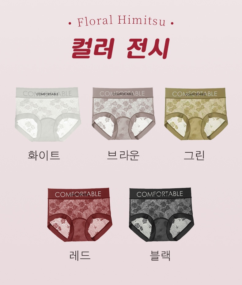 팬티 레이스팬티 컬러전시 VEIMIA