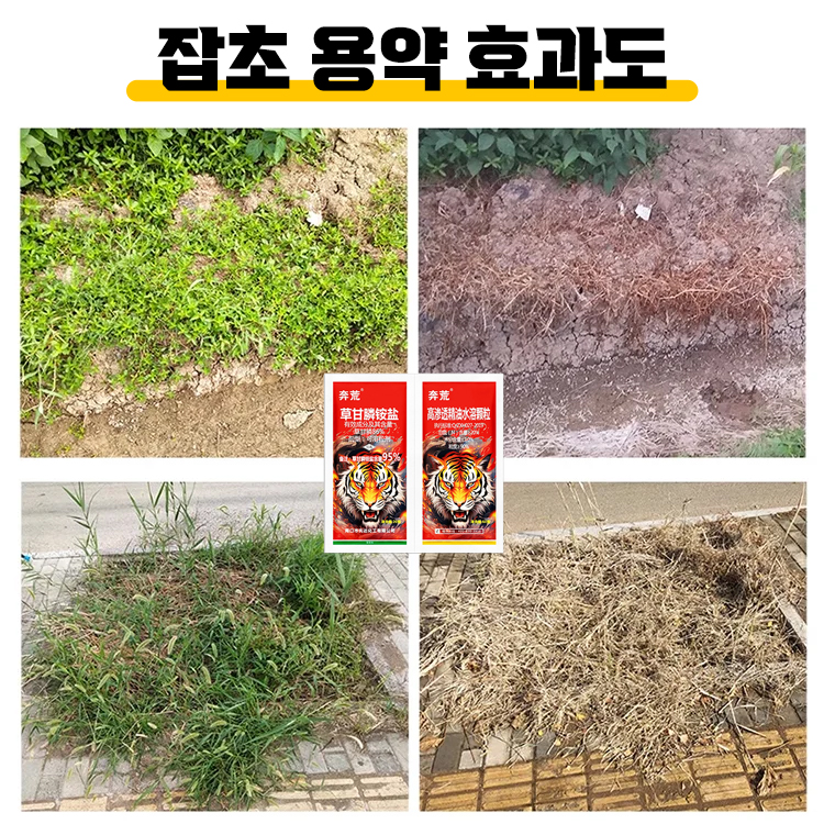 고효율 토양 영양제