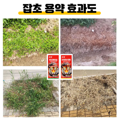 고효율 토양 영양제