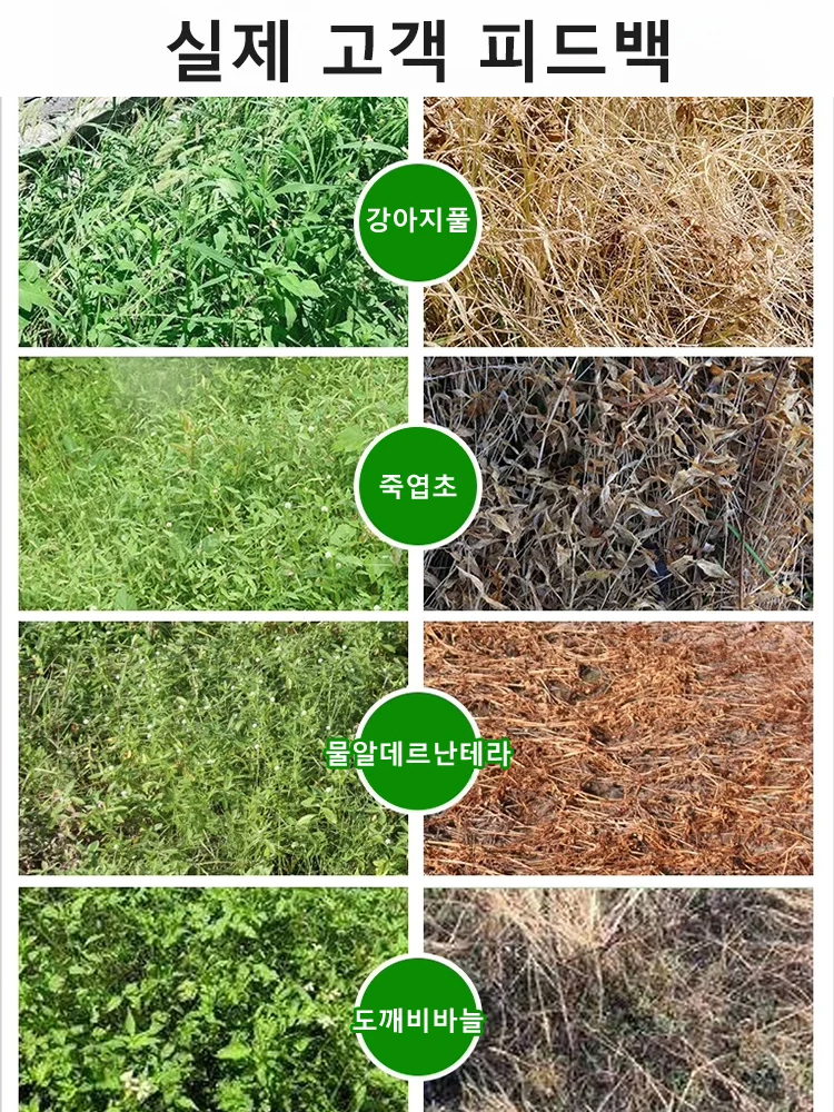 【3시간 내에 효과 발생】잡초 뿌리 썩힘 대형 나무 전용 제초제,2년 동안 잡초 없음