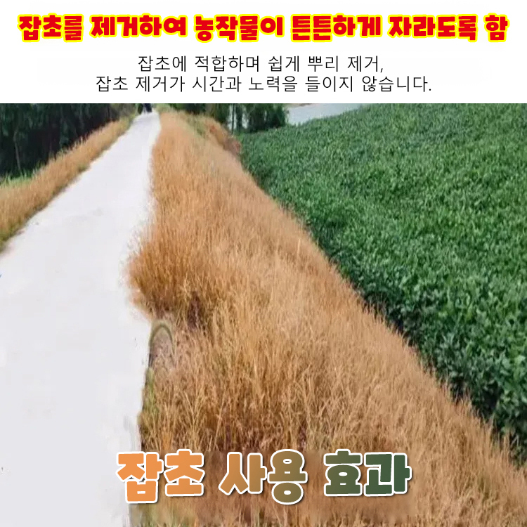 【식물 성장 고수】고농도 옥살아민 제초제