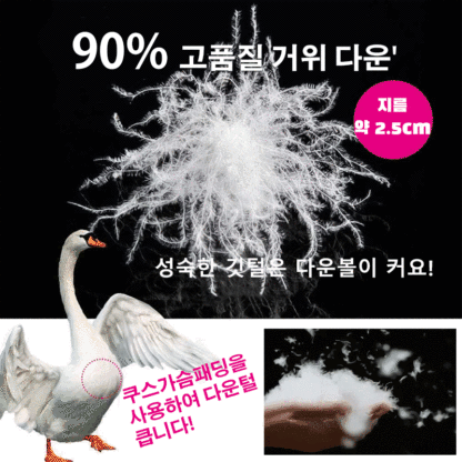 페이크 레이어링 패딩