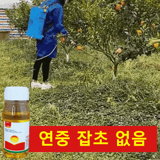 【식물 성장 고수】고농도 옥살아민 제초제