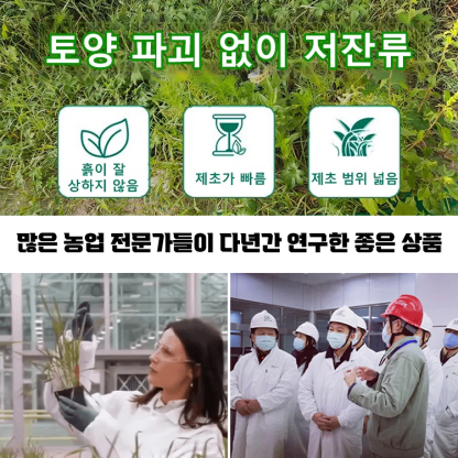 고효율 토양 영양제