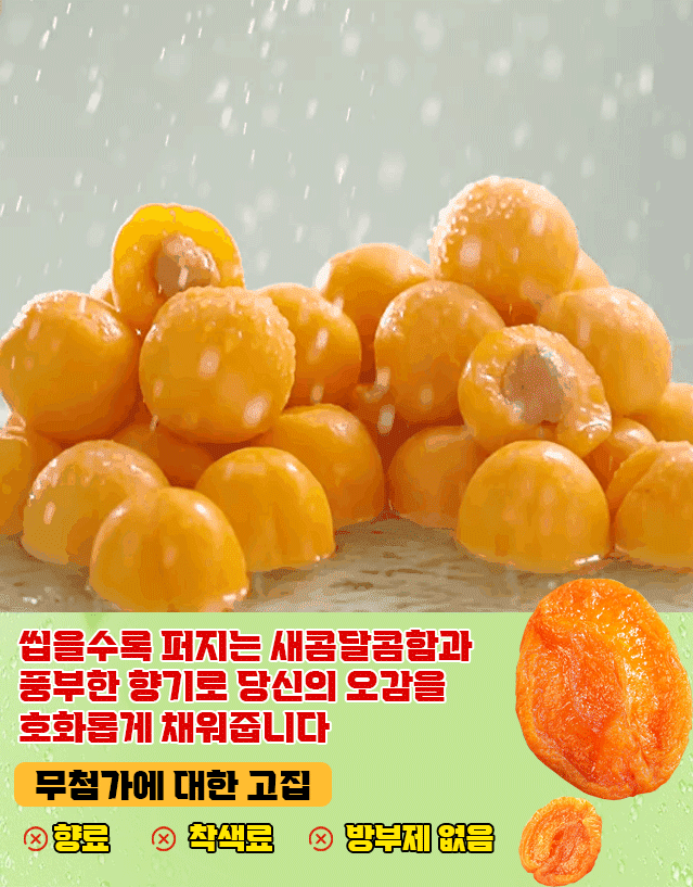 무가당 말린 살구