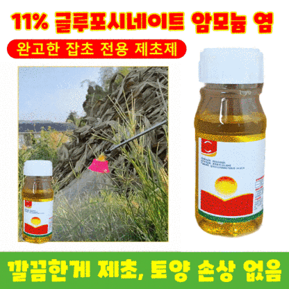 【식물 성장 고수】고농도 옥살아민 제초제