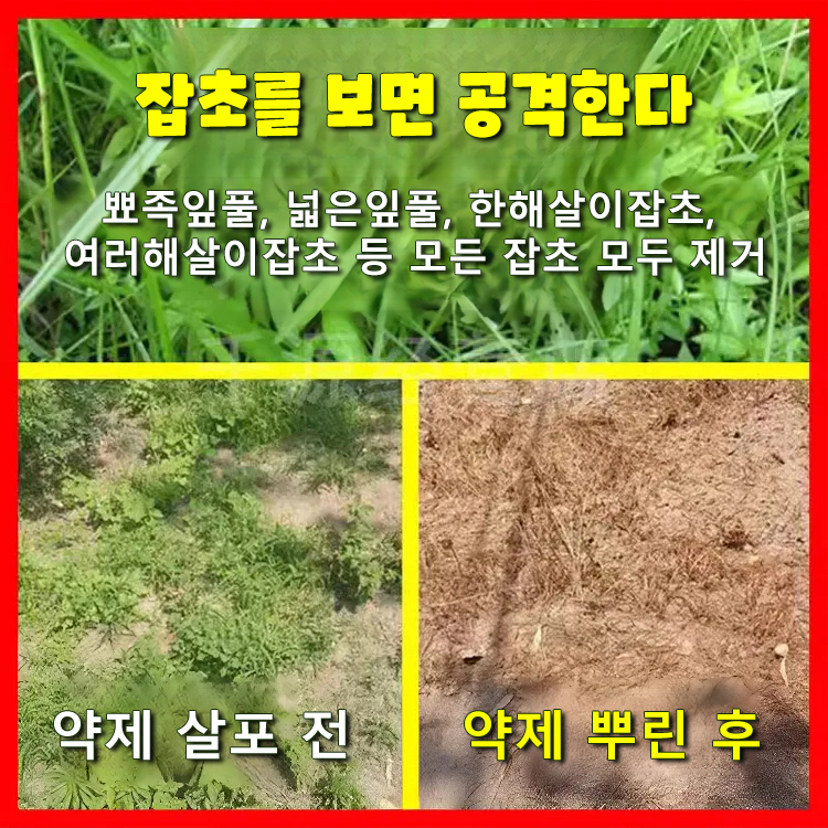 【식물 성장 고수】고농도 옥살아민 제초제