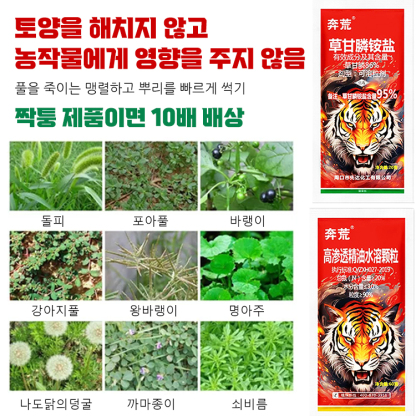 고효율 토양 영양제