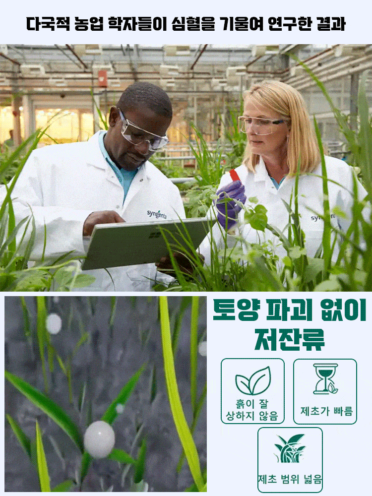【3시간 내에 효과 발생】잡초 뿌리 썩힘 대형 나무 전용 제초제,2년 동안 잡초 없음