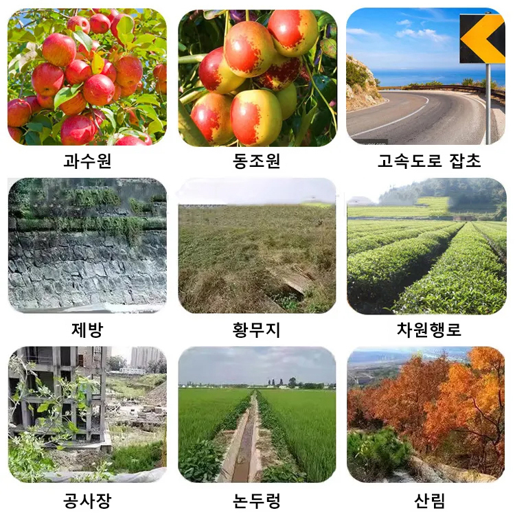 【식물 성장 고수】고농도 옥살아민 제초제