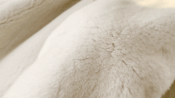 11f9c369852001d9a85e9c11eab8cc2009548bbf231af5-2ONS9w_fw1200.gif