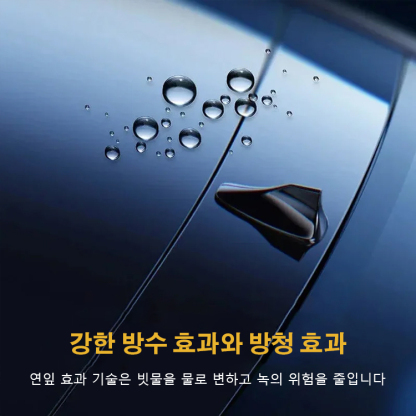 Rayhong 자동차 나노 코팅 스프레이