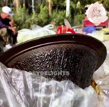 15.gif