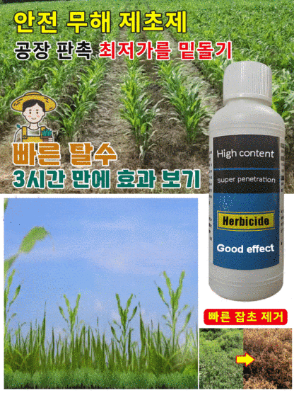 【3시간 내에 효과 발생】잡초 뿌리 썩힘 대형 나무 전용 제초제,2년 동안 잡초 없음