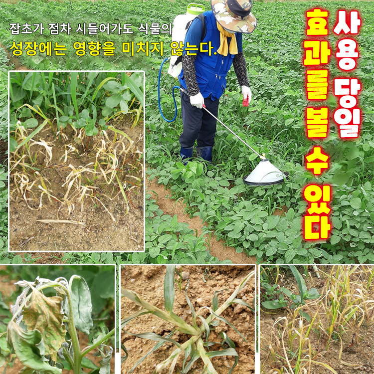 【식물 성장 고수】고농도 옥살아민 제초제
