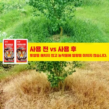 고효율 토양 영양제
