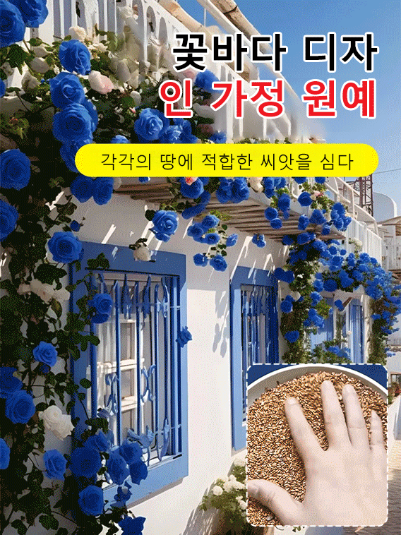 꽃과 다채로운 장미 씨앗을 뿌리다