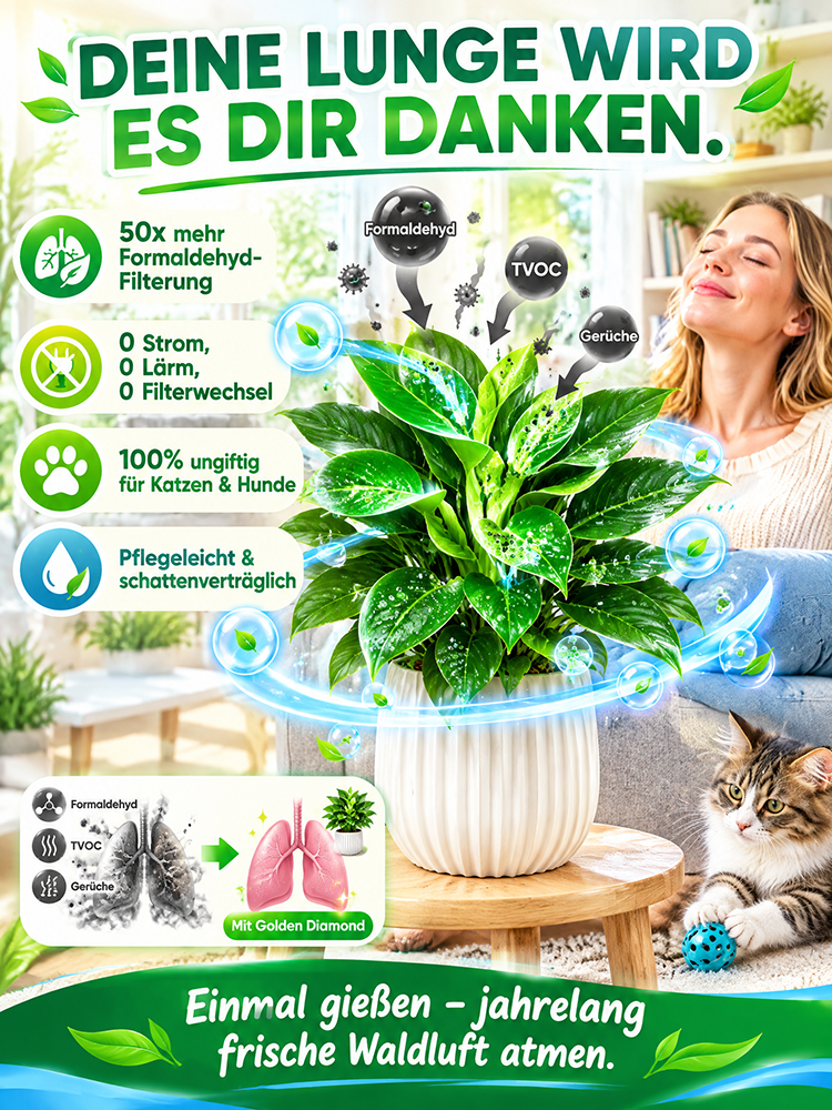 🍃✅Philodendron “Imperial” mit 99% Überlebensrate! 50x stärkere Luftreinigung! 