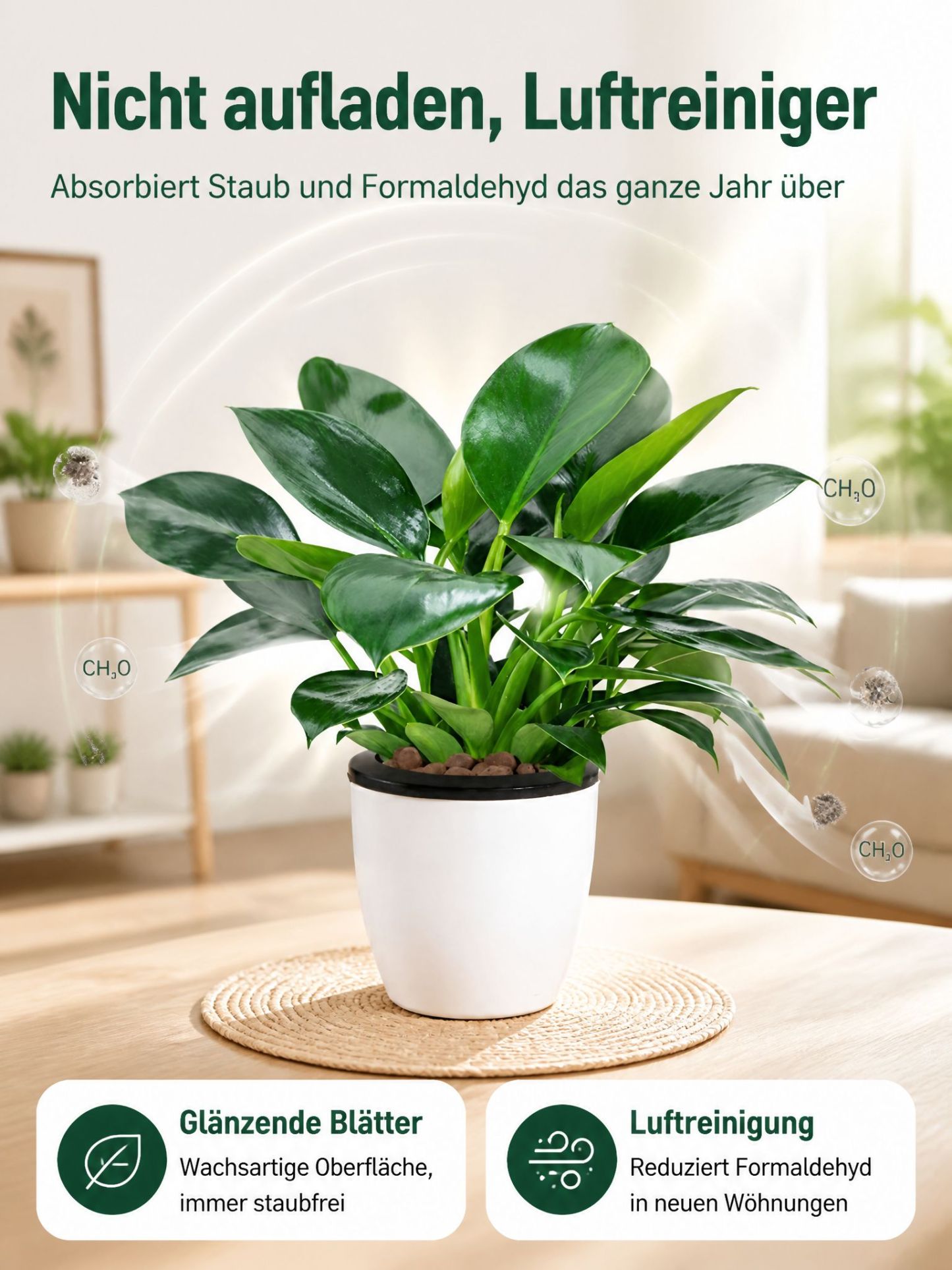 🍃✅“Der Luftreiniger ohne Strom”, Golden Diamond Green Pflanzen, Keine Sonnenstrahlen nötig, Absorbiert Schadstoffe geräuschlos！ 