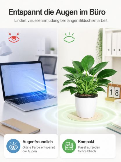 🍃✅“Der Luftreiniger ohne Strom”, Golden Diamond Green Pflanzen, Keine Sonnenstrahlen nötig, Absorbiert Schadstoffe geräuschlos！ 