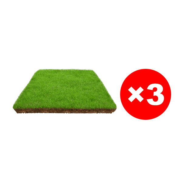 Rasensamen keimen in 7 Tagen