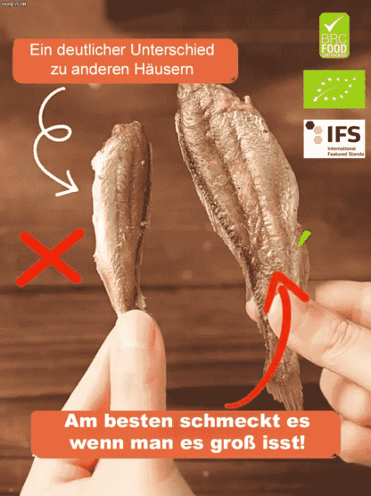 Kleine Fische, die schwer gefangen werden