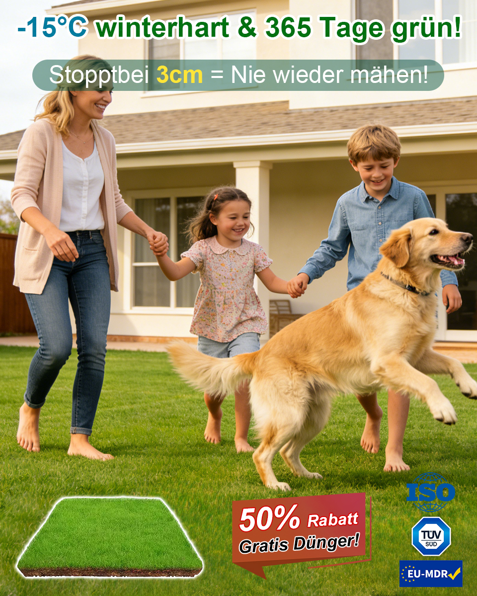 🤩✅ Premium3cm-Zwergrasen: Keimt in 7 Tagen, 100% nie wieder mähen, 30 Tage risikofrei testen！