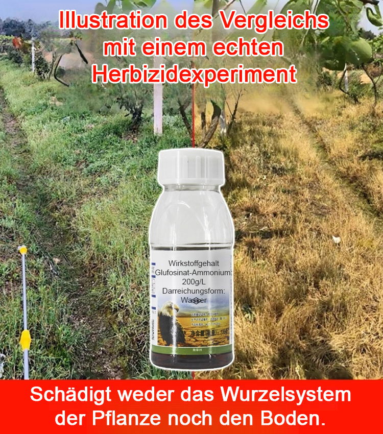 ✅👍Die Nährstoffe der Erde