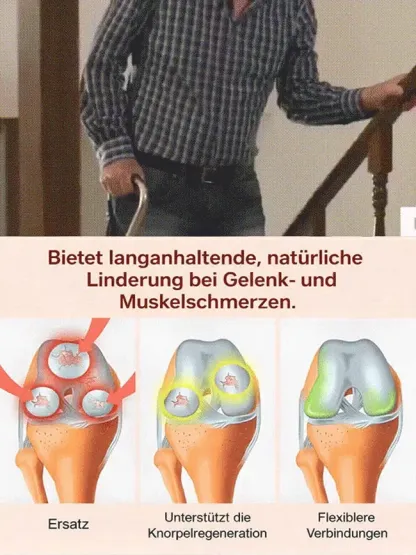 【100% Anwachsgarantie】 4J XXL Regina Süßkirschbaum | Kräftige 2-jährige Setzlinge 