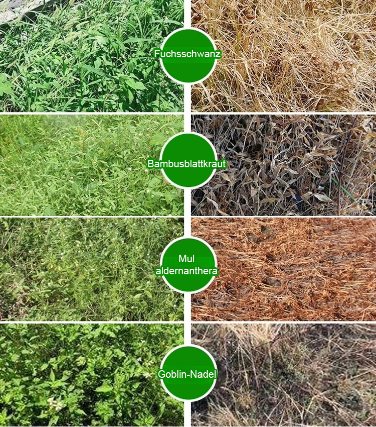 ✅👍Die Nährstoffe der Erde