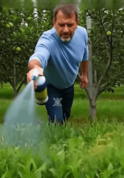 e796620d3d58923593fb9cb133546ae8.gif