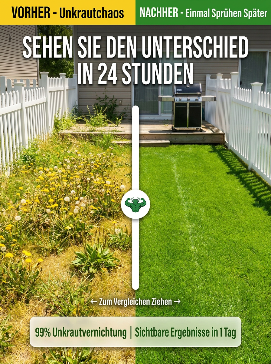 Bild_8_Deutsch.png