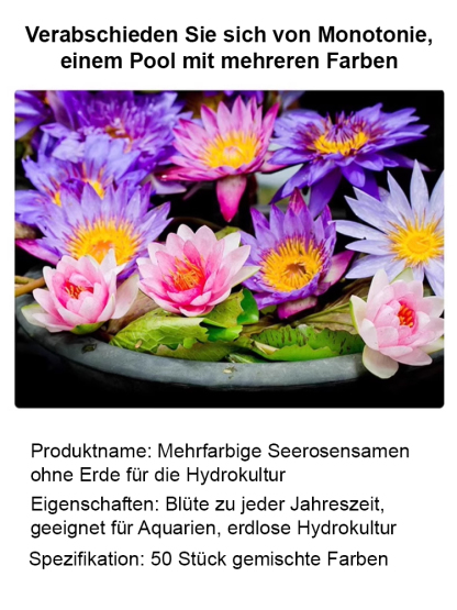🎉💐Bodenlose hydroponische mehrfarbige Seerosen-Samen