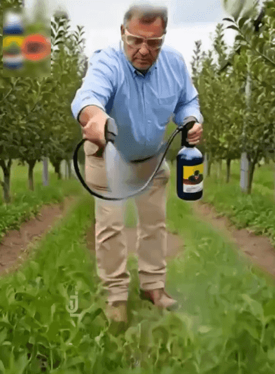 124fd2452734a3c892695a2fbda5b96f.gif