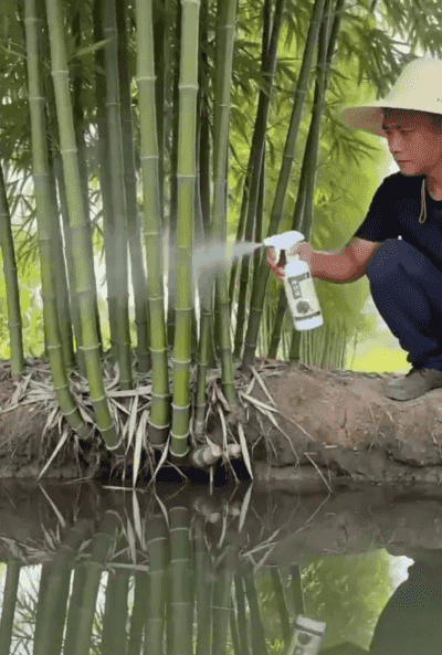 视频 (4).gif