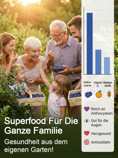 [PFLANZSAISON-ANGEBOT] Zweijährige Premium-Heidelbeer-Setzlinge aus dem Alten Land