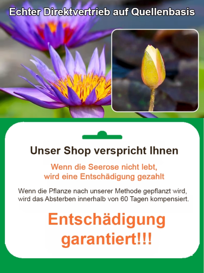 🎉💐Bodenlose hydroponische mehrfarbige Seerosen-Samen