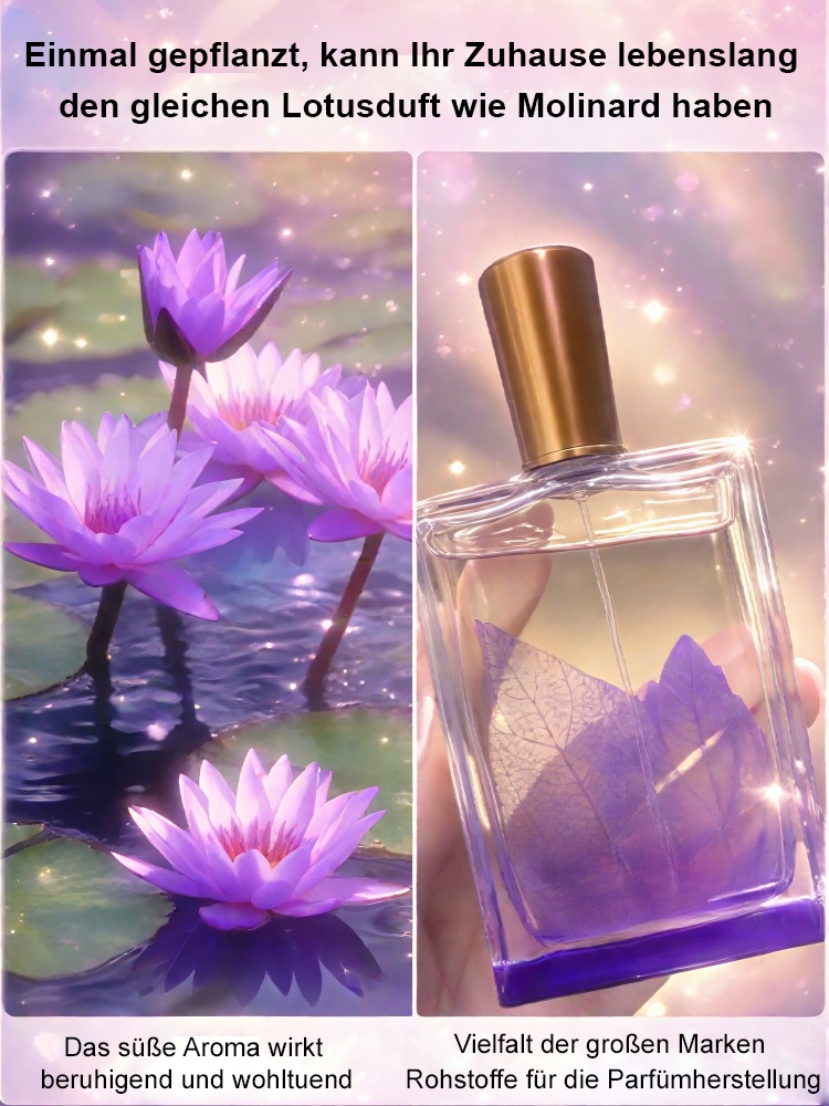 🎉💐Bodenlose hydroponische mehrfarbige Seerosen-Samen