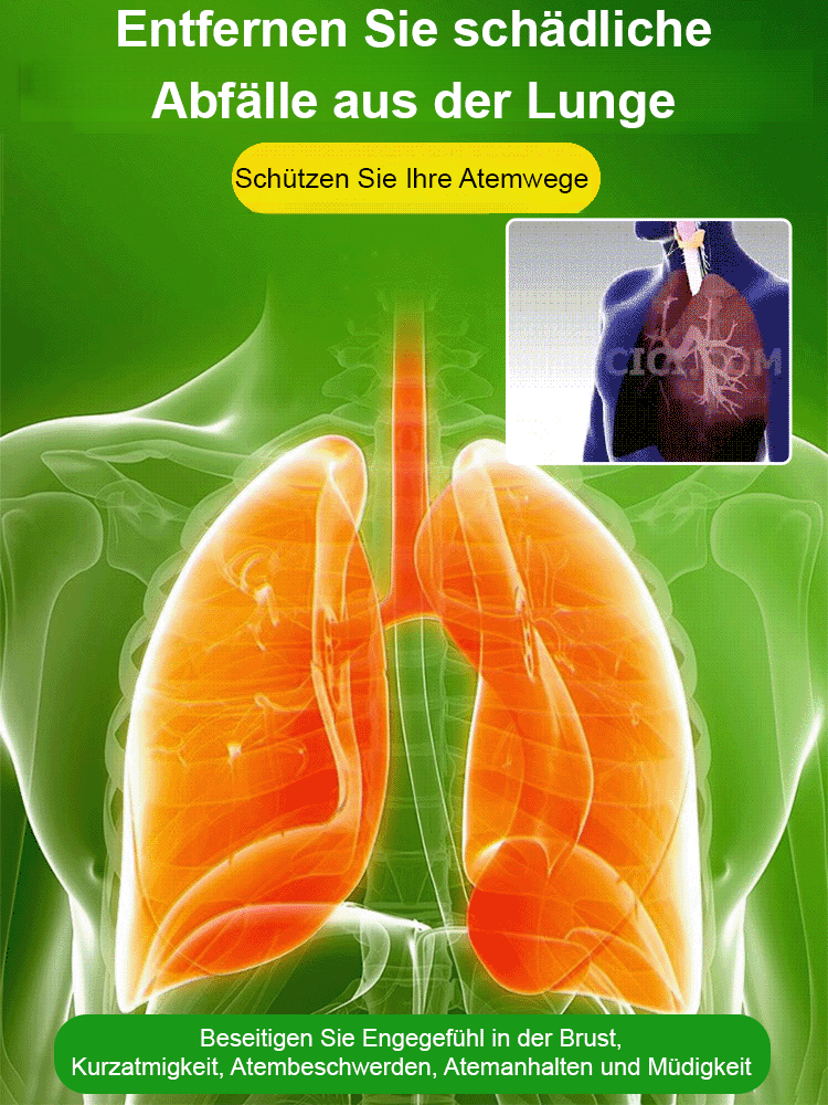 💦🎍Lebt nur mit Wasser: Ganzjährig blühendes brasilianisches Glücksholz