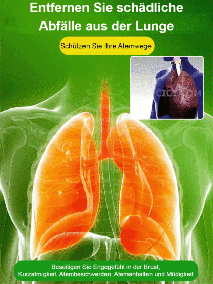 💦🎍Lebt nur mit Wasser: Ganzjährig blühendes brasilianisches Glücksholz