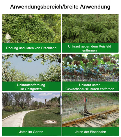 ✅👍Die Nährstoffe der Erde