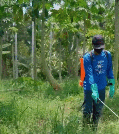 ✅👍Die Nährstoffe der Erde