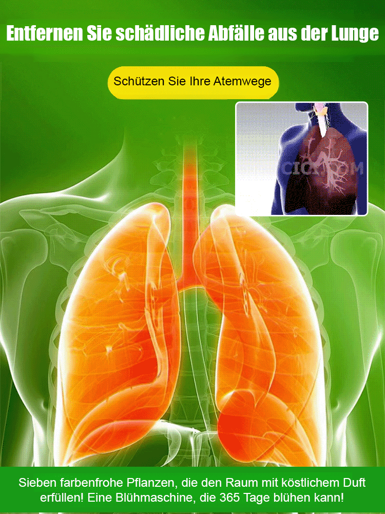 【Schön anzusehen, leicht zu pflegen, duftend blühend】Bunte Duft-Orchidee (Dendrobium) im Topf