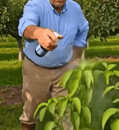 7355c7d3628e5b9c33178014f18793eb.gif